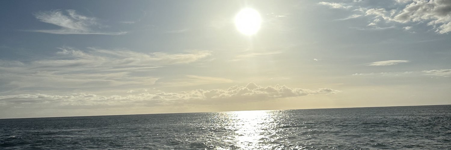 Aliicee_974's profile banner image
