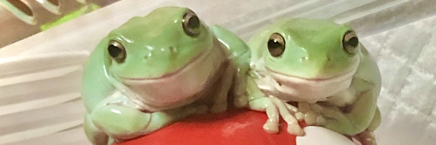 びわの葉's banner