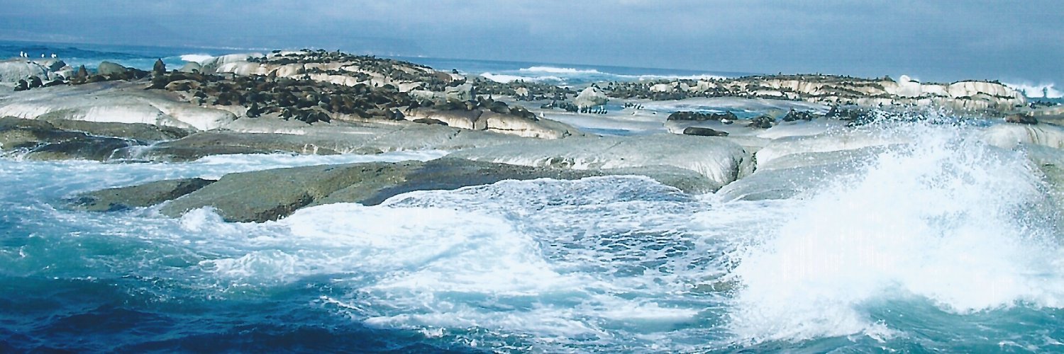 BowTiedDuckCleaning banner