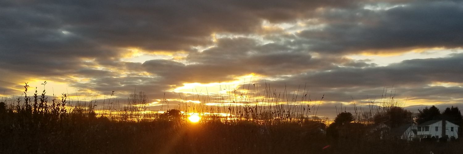 MullarkeyGirl's profile banner image