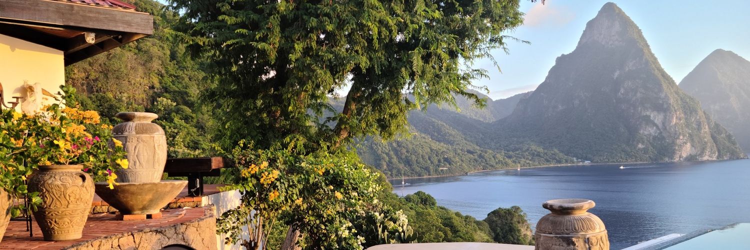 Jesse Moretti banner