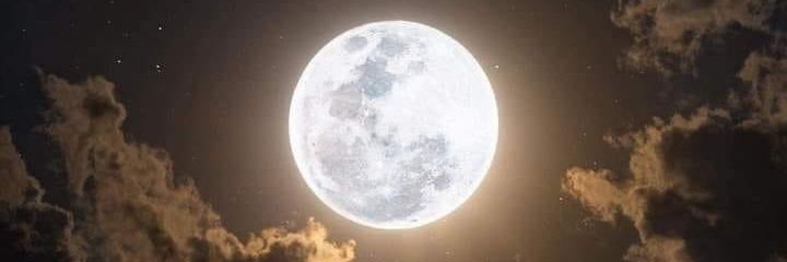 Gαℓєαη banner