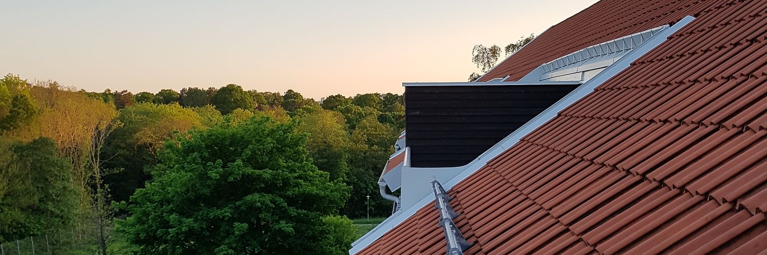 ZickermanA's profile banner image
