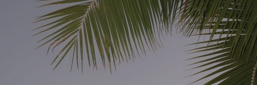 plnrmk's profile banner image