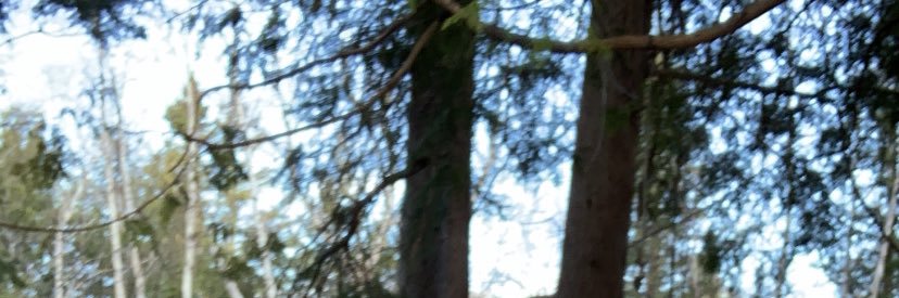 CoreyDemarchuk's profile banner image
