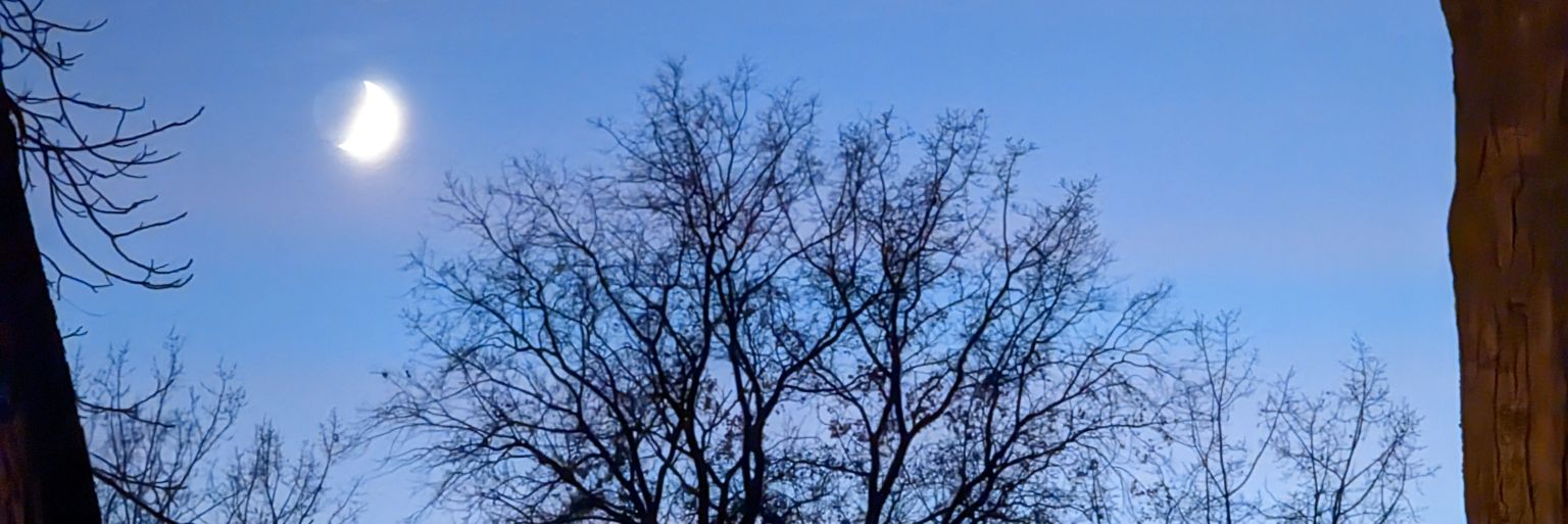 JessicaRWells's profile banner image