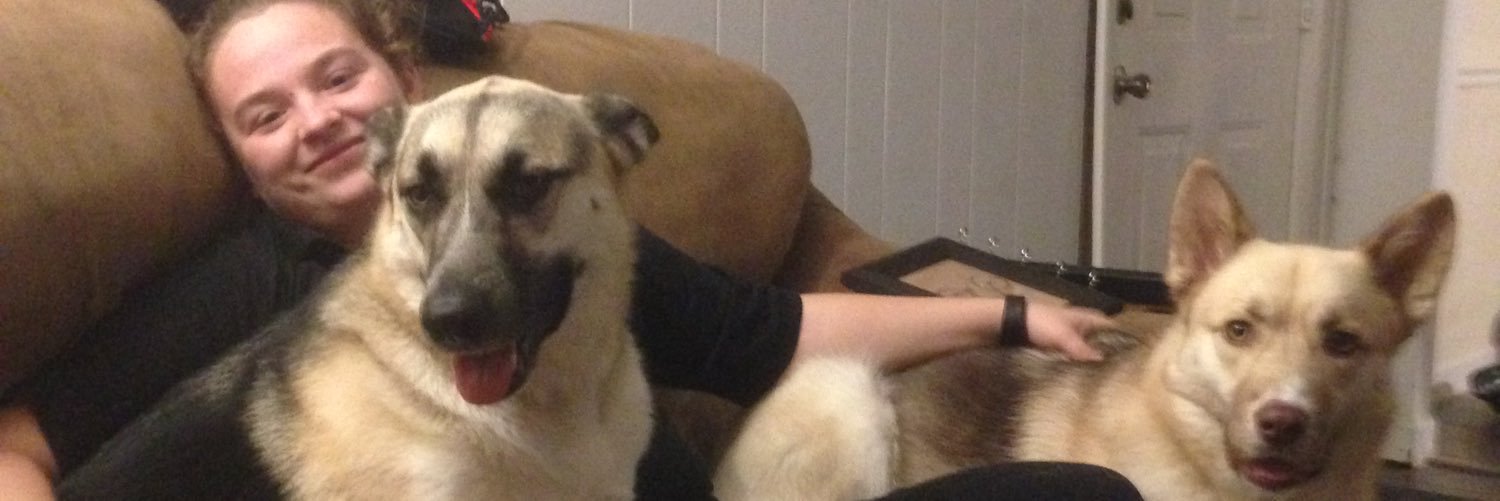 Zach Perlmutter banner