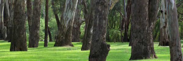 WellbeingPathw1 Profile Banner