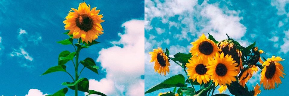 StephMorris25's profile banner image