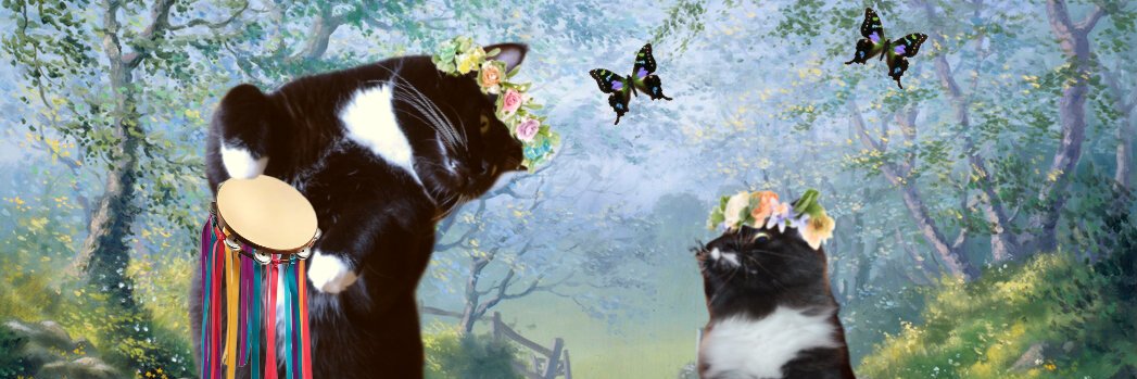 Mr. Wuggums💖, DJ Heri Babie 🎶 & the #Xanawu Cats banner