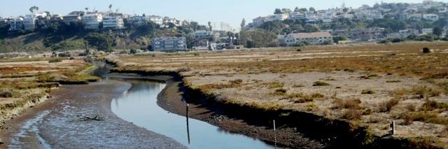 restoreballona's profile banner image