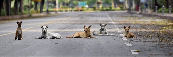 vivian_e Profile Banner