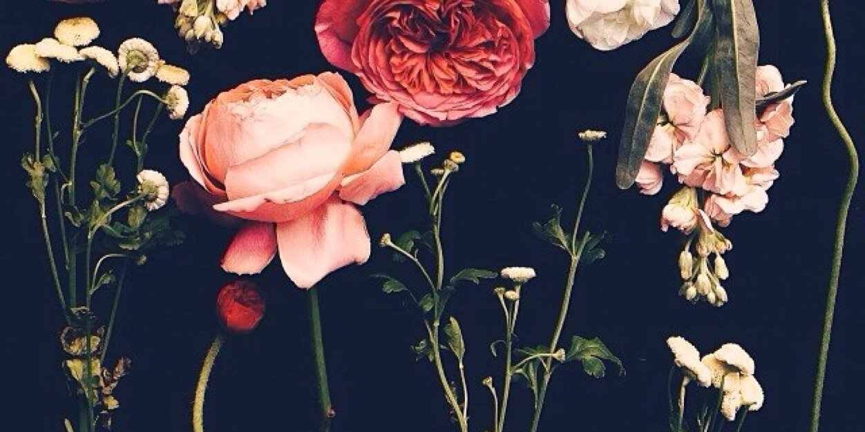 NinaNailedIt's profile banner image