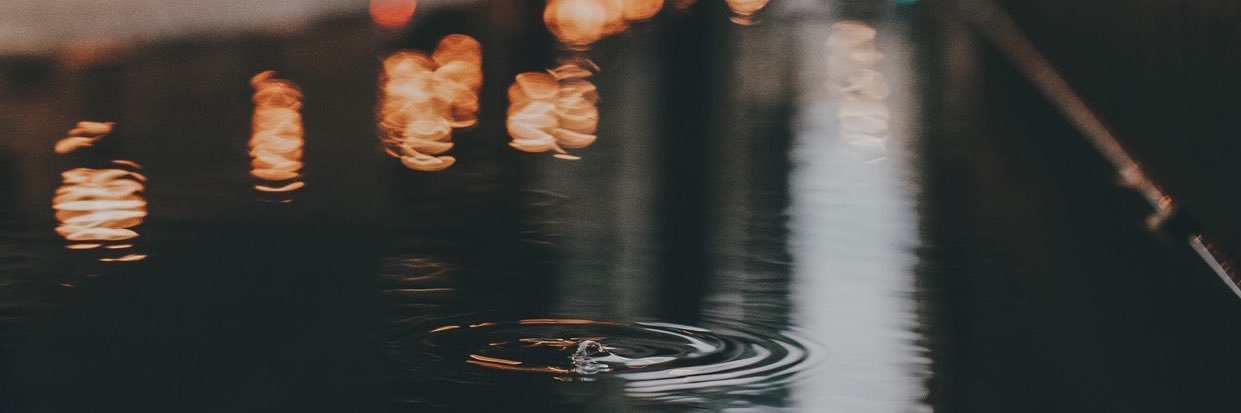LisaYanzi's profile banner image