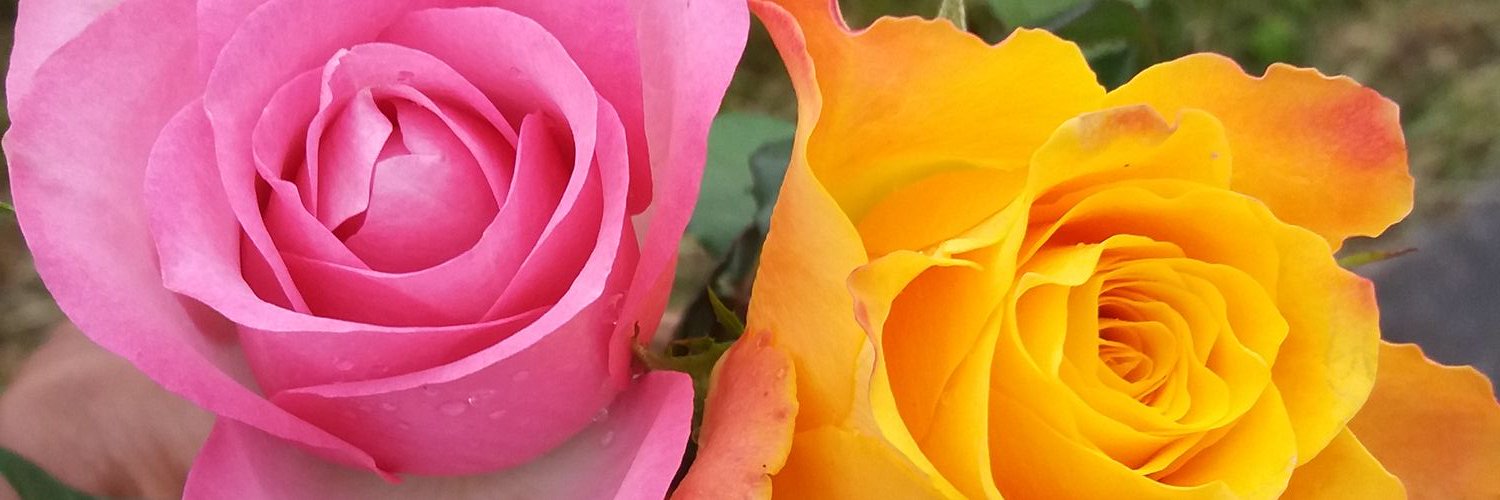 NiallisTreasure's profile banner image