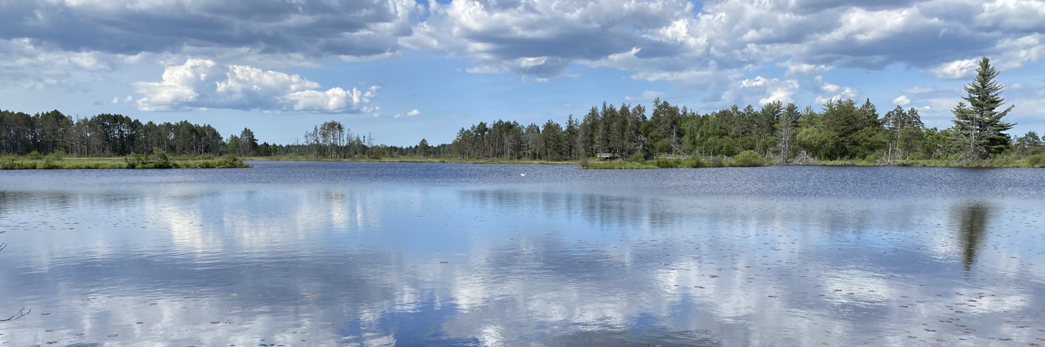 Katie Tibaldi banner