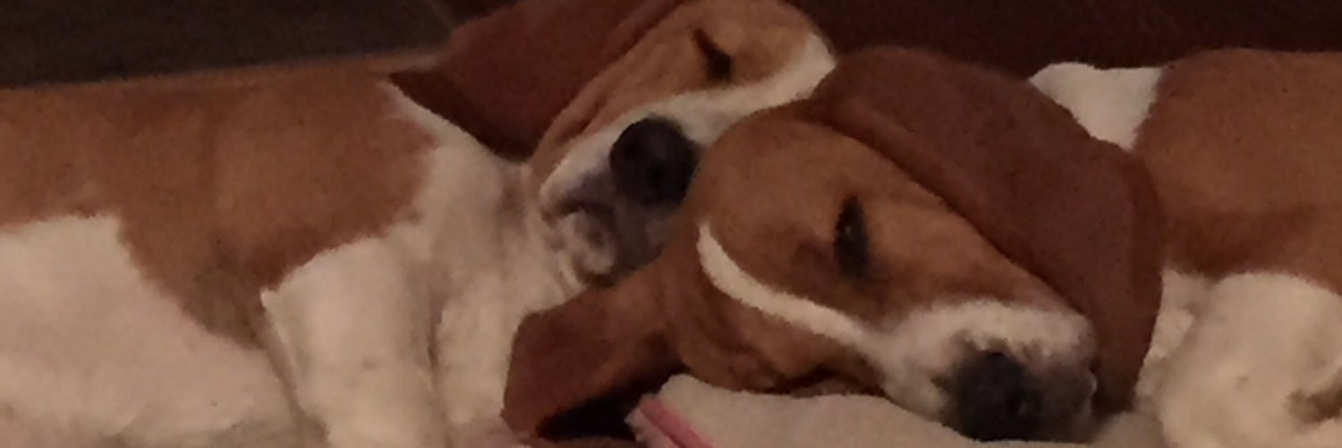 patrick_merfe44's profile banner image