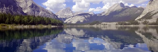 Morriceosaurus Profile Banner