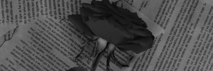 chtalie55's profile banner image