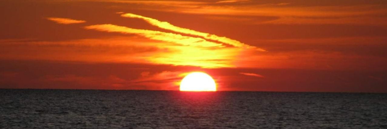 Florida2347's profile banner image
