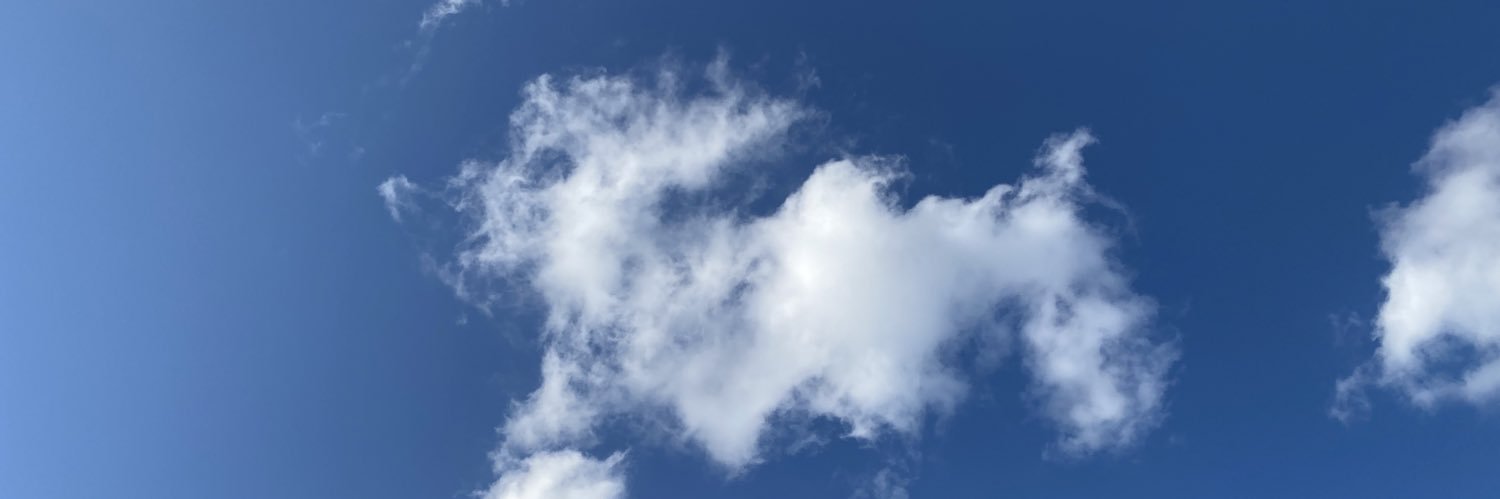 shinkays's profile banner image
