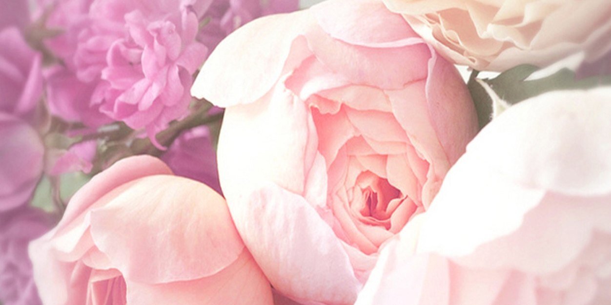 222Hanoo's profile banner image