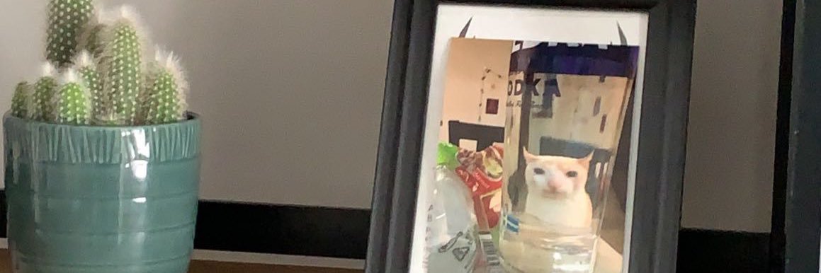 guytodd9's profile banner image