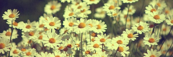 YKuis Profile Banner