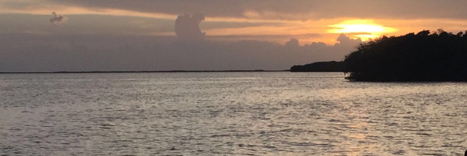 Mickinhas's profile banner image