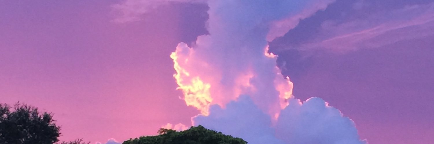polliswar's profile banner image