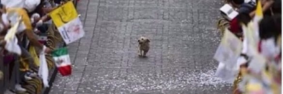 estate4column5©2013 banner