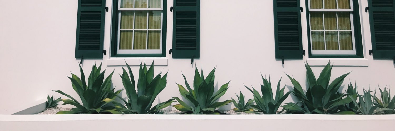 kateelizap's profile banner image