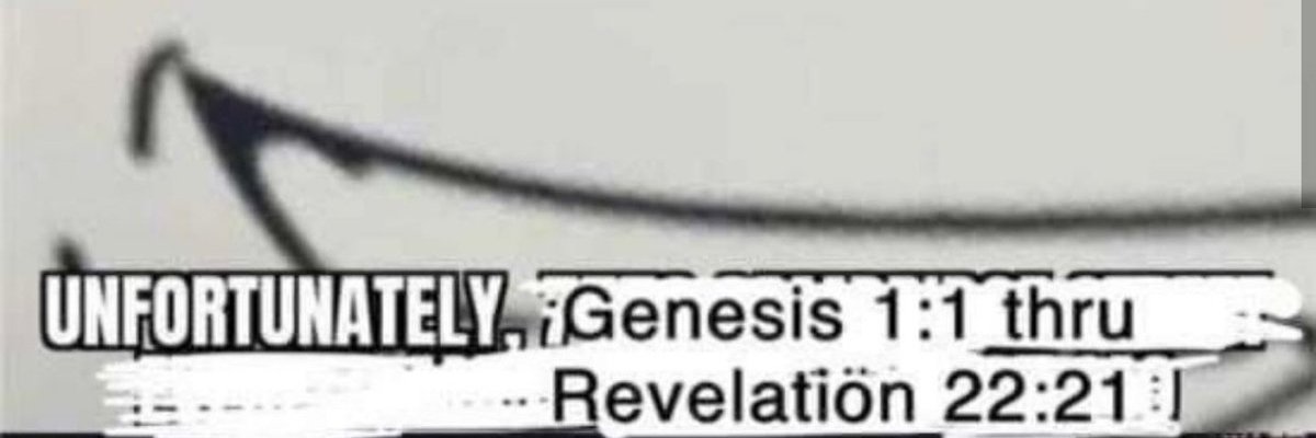 slave morality enjoyer 🕊️'s banner