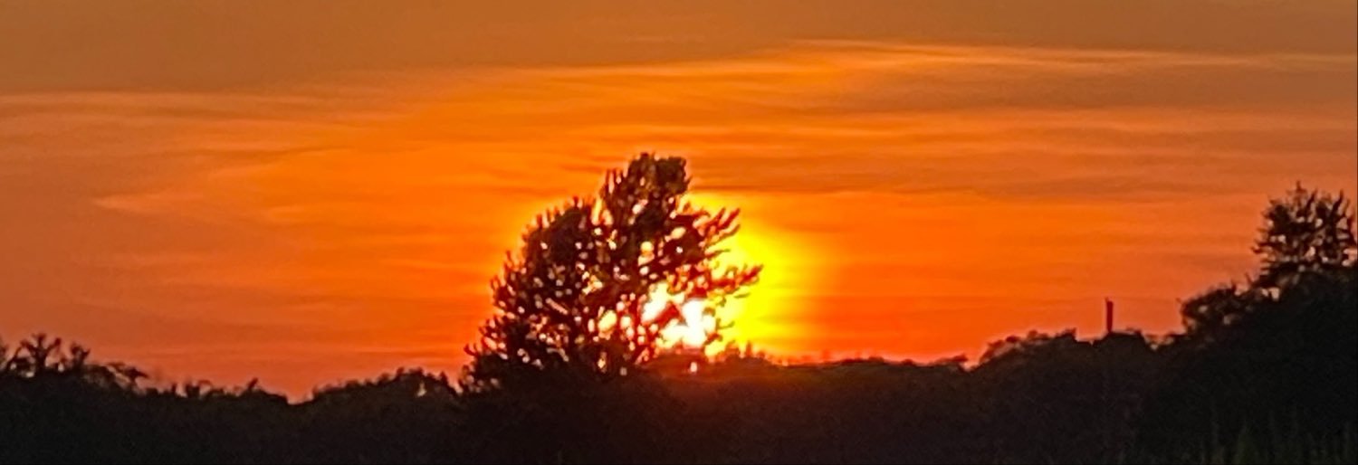 jschick54's profile banner image