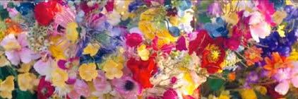 稲垣 知葉 banner