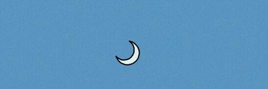 SeaL¿ banner