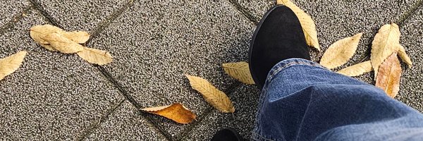 kimhibtae_thV Profile Banner