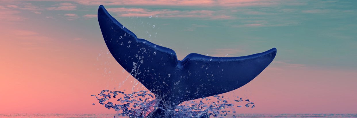 Samaneh181's profile banner image