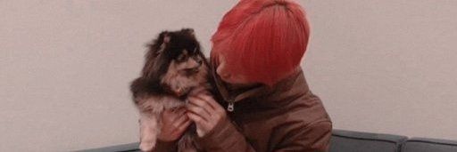 𝐙𝐞𝐤𝐚𝐯𝐥𝐞𝐫ᴳᴾ banner
