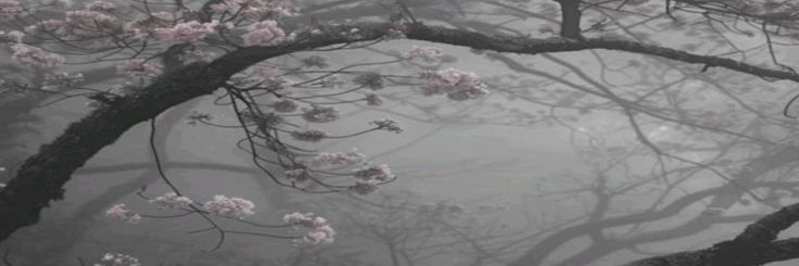 adykszef's profile banner image