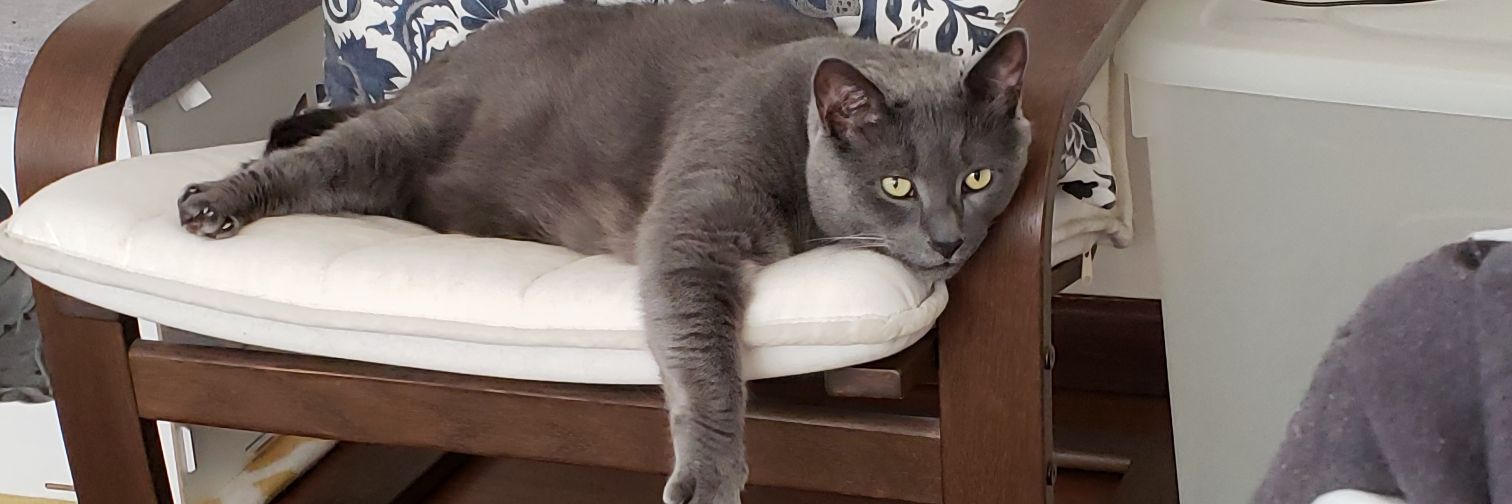 the Judges chambers banner