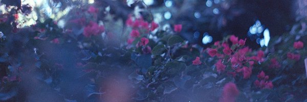 ericayaninaa Profile Banner