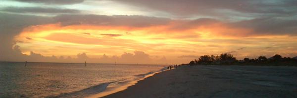 sopel92 Profile Banner