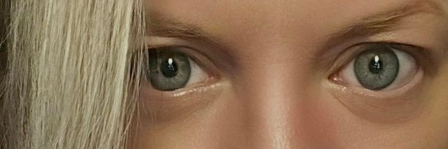 KittyKittyFangFang 🐈‍⬛💨 banner