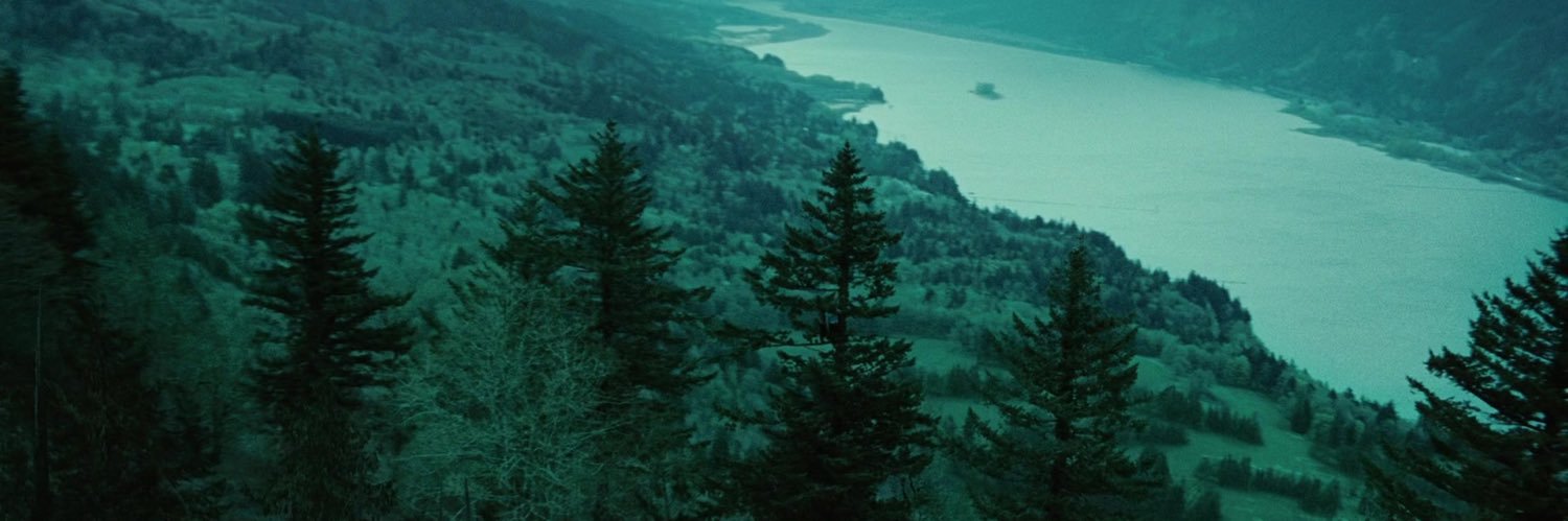ördek banner