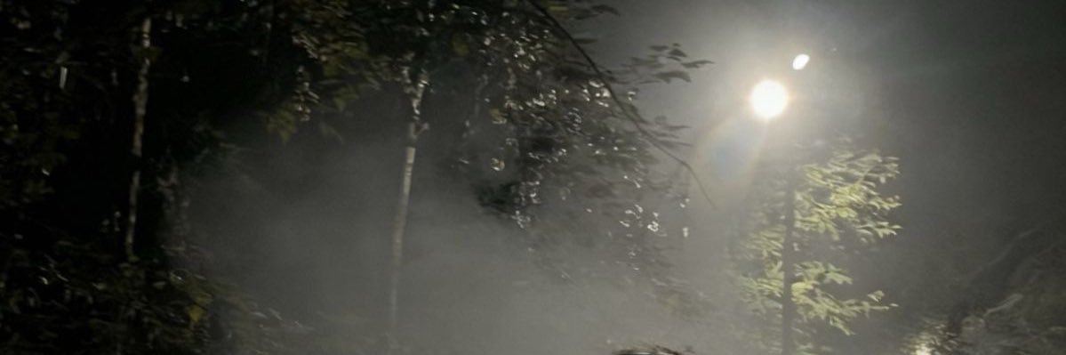 miu_death's profile banner image