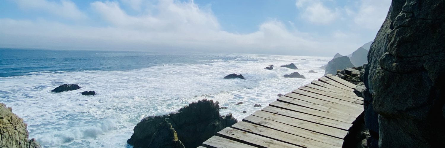 colombaalcalde's profile banner image