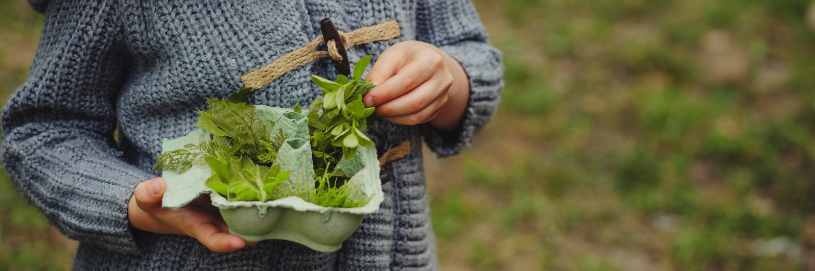 wildseedlings's profile banner image