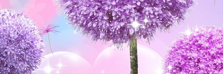 Christophhle's profile banner image