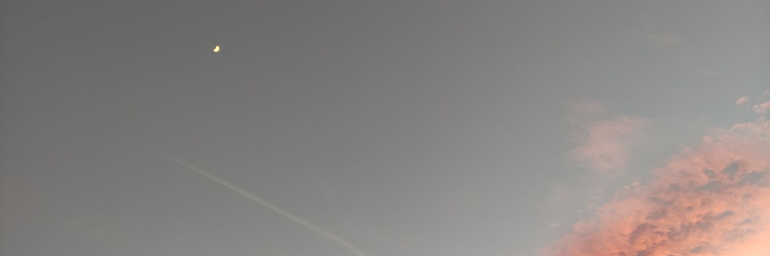 melibeva's profile banner image